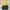 Sportswear Windbreaker Pria yellow navy photo 5