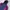 Kolon Sport Sportswear Windbreaker Pria navy blue photo 2