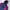 Kolon Sport Sportswear Windbreaker Pria Navy Blue