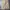Japanese brand Streetwear Casual Casual pants Pria khaki tan photo 8