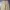 Japanese brand Streetwear Casual Casual pants Pria khaki tan photo 3