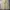 Japanese brand Streetwear Casual Casual pants Pria khaki tan photo 4