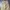 Japanese brand Streetwear Casual Casual pants Pria khaki tan photo 7