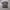 Kaos Essentials Fear Of God photo 1