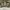 cargo pants camo photo 6