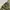 cargo pants camo photo 8