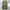 cargo pants camo photo 1