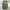 Cargo Pants Realtree