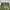 cargo pants realtree photo 8