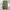 cargo pants realtree photo 1