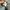 LL Bean Outdoor Jacket Primaloft photo 6