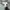 LL Bean Outdoor Jacket Primaloft photo 5