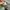 LL Bean Outdoor Jacket Primaloft photo 7