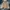 carhartt active jacket brown YYJ158BRN photo 3