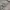 Center Pole Celana Outdoor Quick Dry photo 5