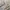Baracuta Vintage Casual Harrington jacket Pria khaki cream photo 4