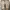 Dr. Martens Casual Boots Pria brown photo 8