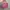 Handbag hermes hello kitty  photo 8