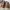 Red Wing Shoes Casual Casual shoe Pria white brown photo 3
