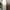 Red Wing Shoes Casual Casual shoe Pria white brown photo 10