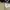 Thom Browne Luxury Casual Formal pants Pria khaki tan photo 4