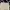 Thom Browne Luxury Casual Formal pants Pria khaki tan photo 3