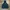 TNF Dryvent Black Original photo 1