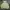 Hoodie Andersson Bell Embroidery  photo 1