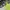 Columbia Sportwear Waterpropf omni-tech (3A - 40 ) photo 8