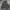 Hoodie Carhartt Basic photo 1
