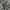 Hoodie Supreme Camoflage Embroidery  photo 2