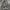 Hoodie Supreme Camoflage Embroidery  photo 1