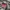 Hoodie Supreme Camoflage Embroidery  photo 3