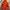 The North Face Rain Jacket Hyvent Threetone(3A-32) photo 8