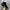 CONVERSE CT ALL STAR CLASSIC BASIC MONO BLACK HIGH Original photo 1