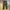 Ankle Pants Muji dark green photo 2