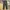Ankle Pants Muji Dark Green