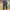 Ankle Pants Muji Dark Green