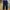 Ankle Pants Beauty & Youth Camouflage Navy