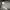 Hard Gaba Loose Fit Pants WYM silver gray photo 7