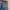Levis 501 xx Selvedge (fashion Thailand) size tag 36 photo 6