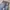 Levis 501 xx Selvedge (fashion Thailand) size tag 36 photo 4