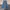 Levis 501 xx Selvedge (fashion Thailand) size tag 36 photo 1