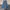 Levis 501 Xx Selvedge (fashion Thailand) Size Tag 36