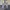 Levis 501 xx Selvedge (fashion Thailand) size tag 36 photo 2