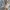 Levis 501 xx Selvedge (fashion Thailand) size tag 36 photo 8