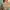 Crop vintage 👯‍♀️ photo 1