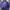 VETEMENTS Luxury Hoody Pria Navy