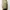 Sweater Ader Error Mask Tape Unisex photo 1