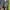TROUSHER PANTS LULULEMON  photo 6